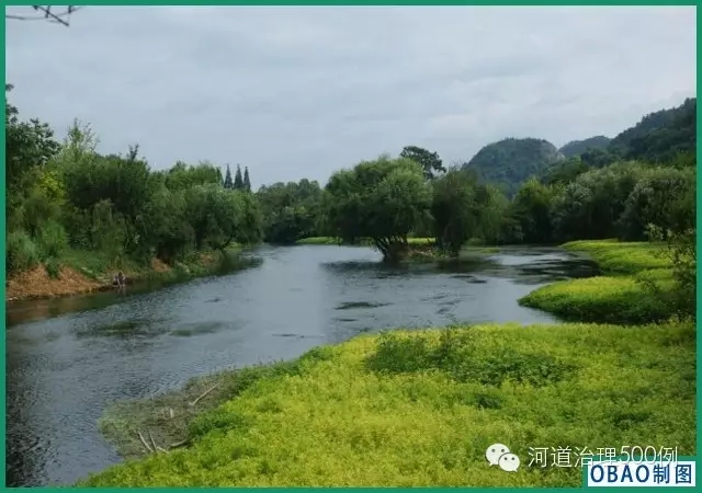 希望绿意盎然的花溪河能再现