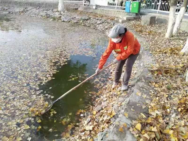 小区池塘，水浅，面积小，打捞设备无法进入，只能人工打捞