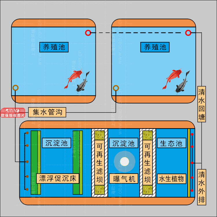 如何应用于鱼塘尾水治理？