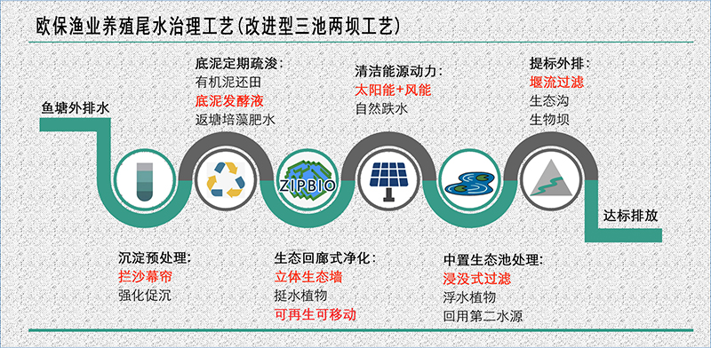 欧保改进型三池两坝工艺