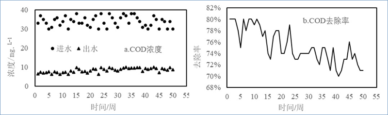 图1 加强型三池两坝技术对COD的去除效果