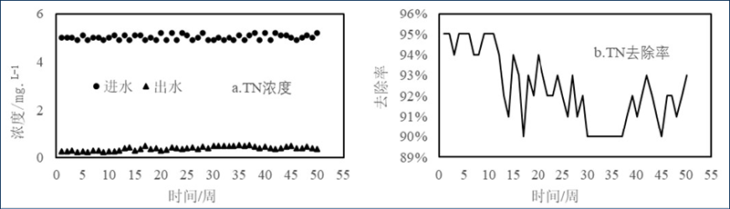 图3 加强型三池两坝技术对TN的去除效果