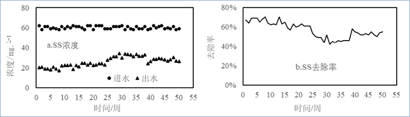 图5 加强型三池两坝技术对SS的去除效果