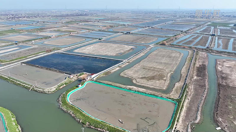 蟹塘养殖尾水治理方案：改进型三池两坝工艺