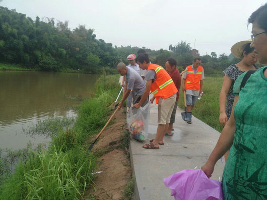 江阳区弥陀镇：河道治理变靓丽 游客慕名踏春来
