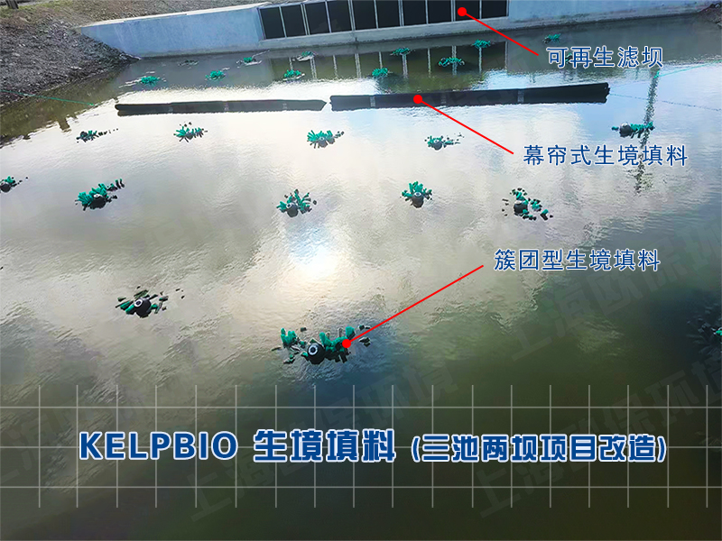 浙江宁波的养殖尾水治理二次启动改造项目