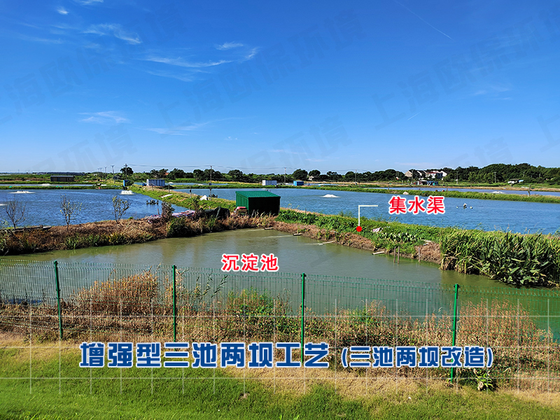 增强型三池两坝工艺