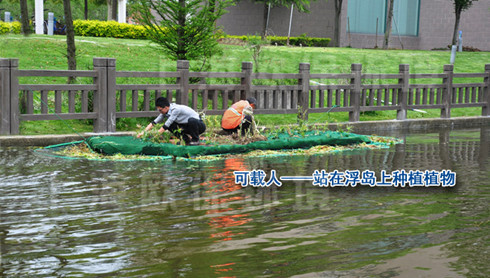 浮田型生态浮岛